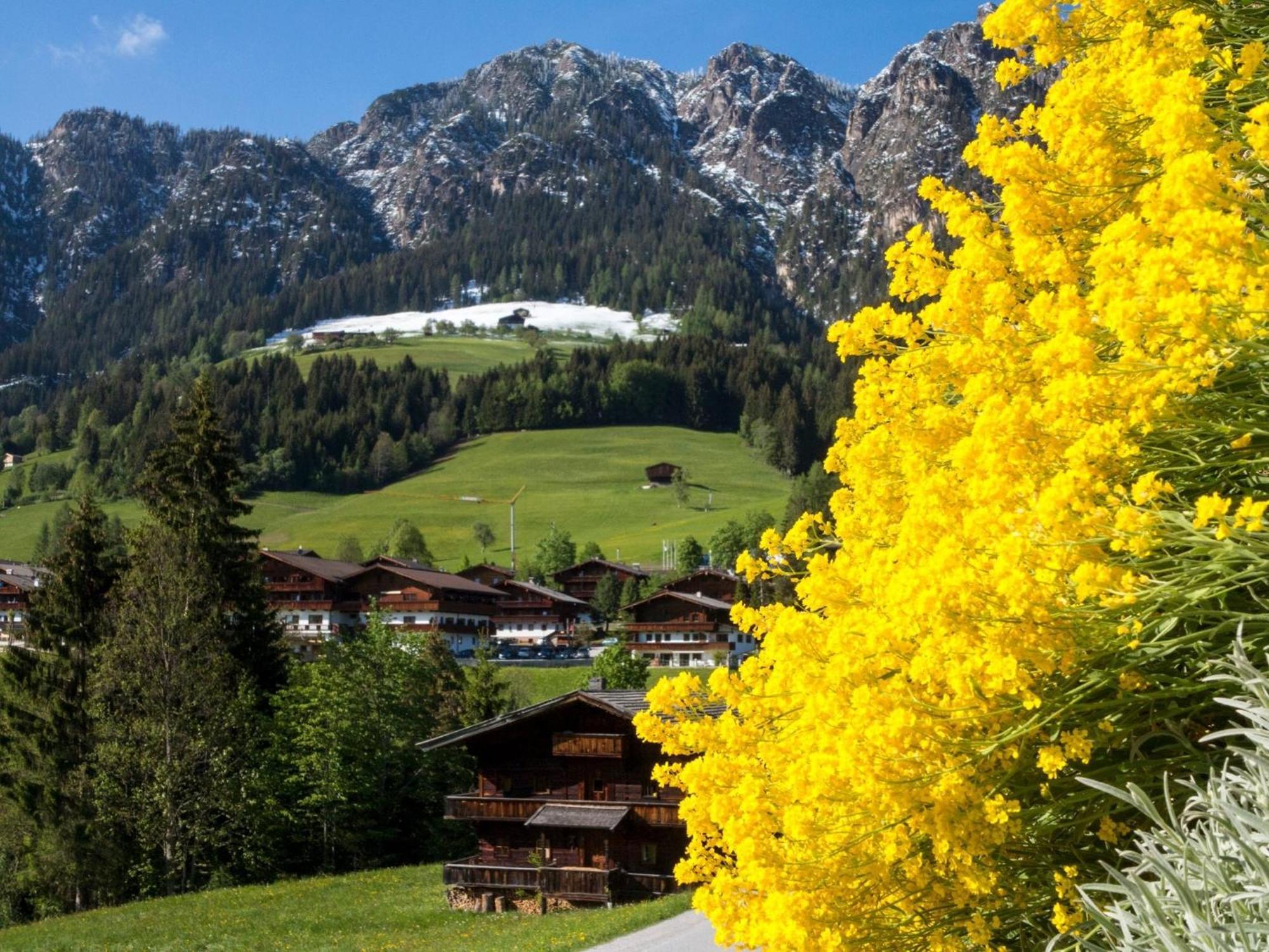 Bergwald Apartment Alpbach Exterior photo